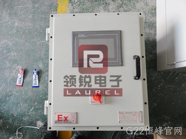 ICS（Ex）矿用防爆款电子皮带秤