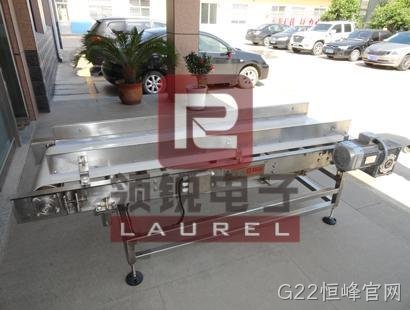 不锈钢防水皮带秤 不锈钢防水皮带秤